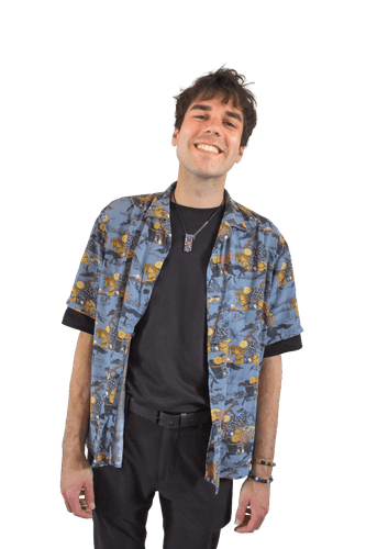 Davi Bos